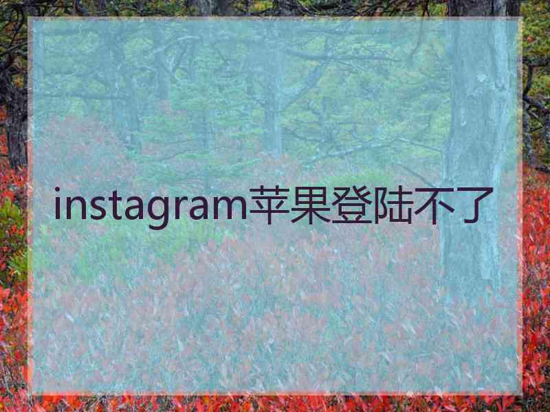 instagram苹果登陆不了