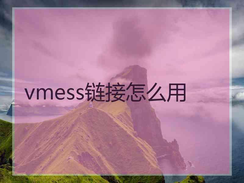 vmess链接怎么用