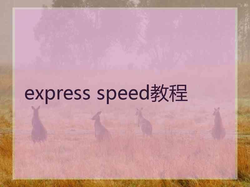 express speed教程