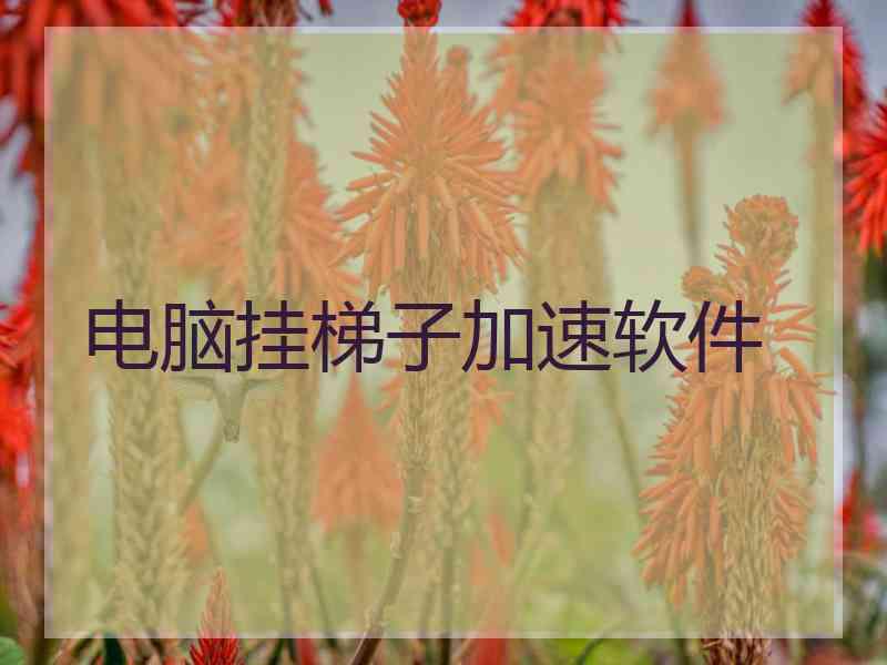 电脑挂梯子加速软件