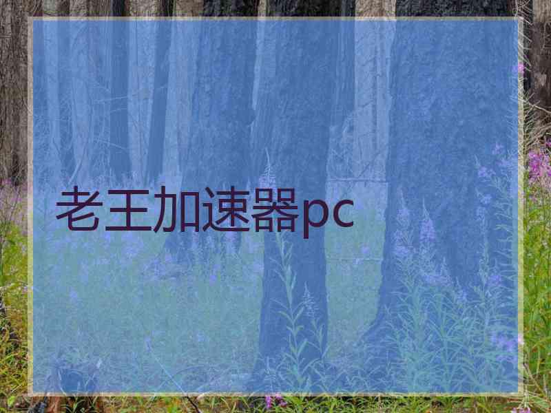 老王加速器pc