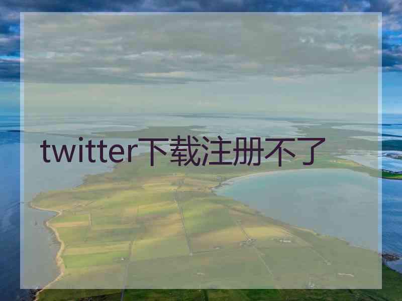 twitter下载注册不了