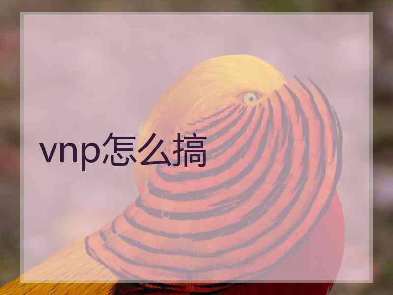 vnp怎么搞