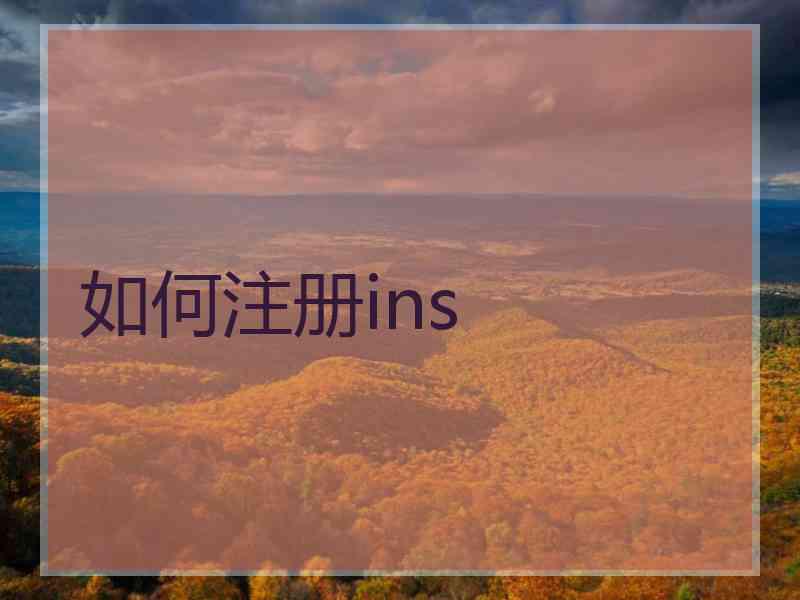 如何注册ins