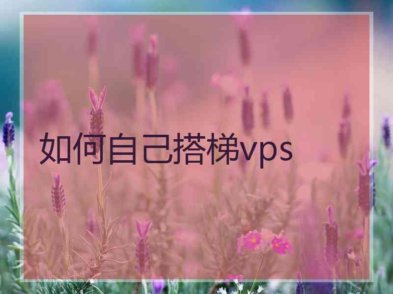 如何自己搭梯vps