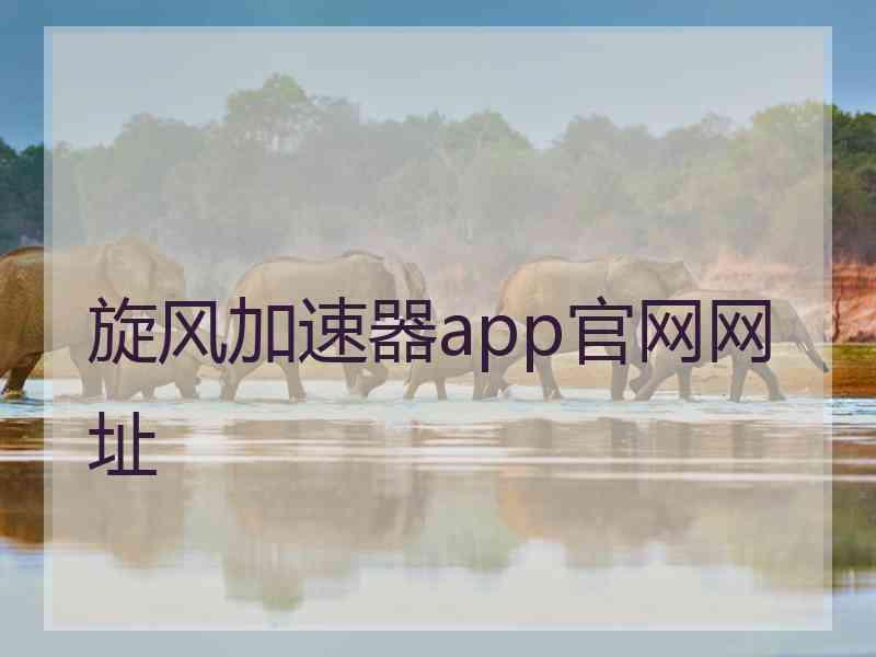 旋风加速器app官网网址