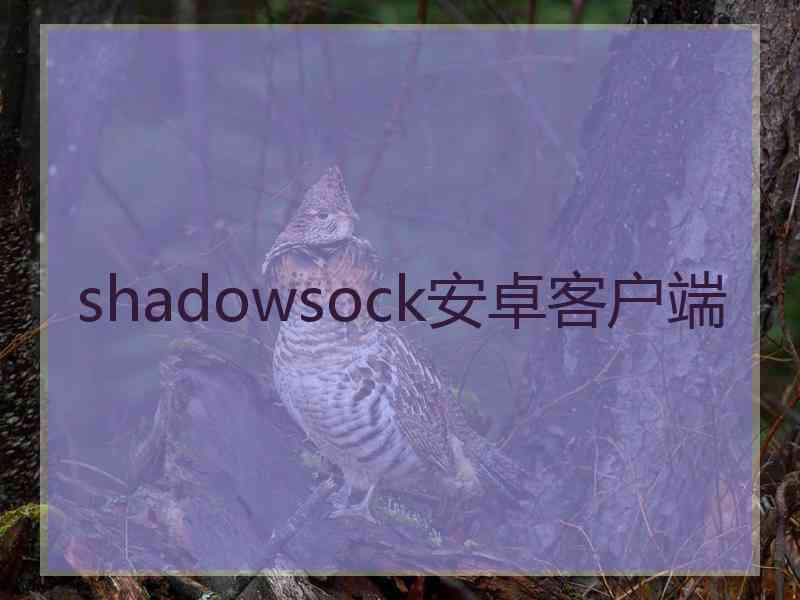 shadowsock安卓客户端