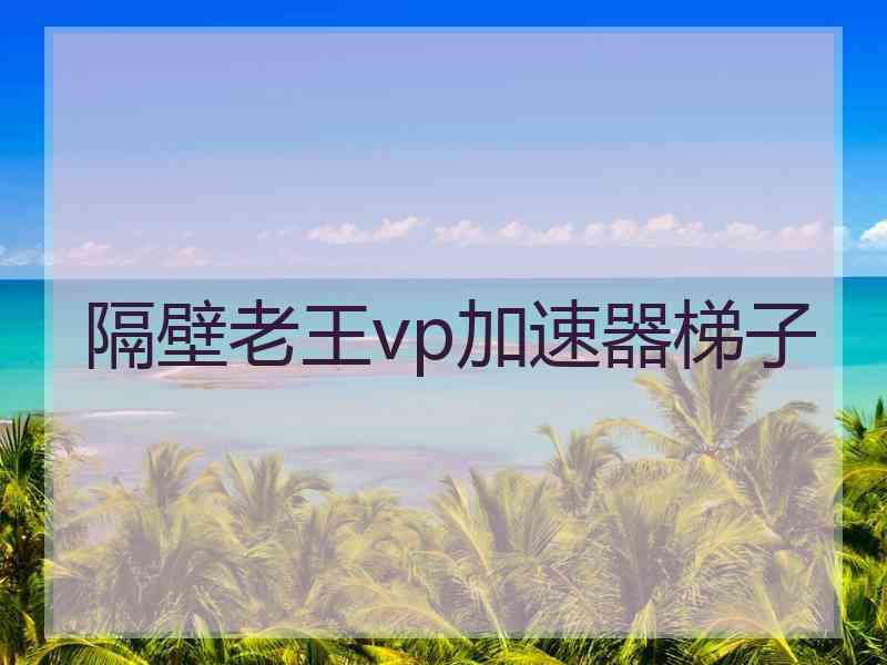 隔壁老王vp加速器梯子