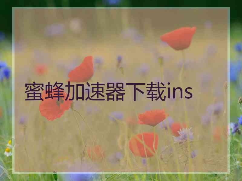 蜜蜂加速器下载ins