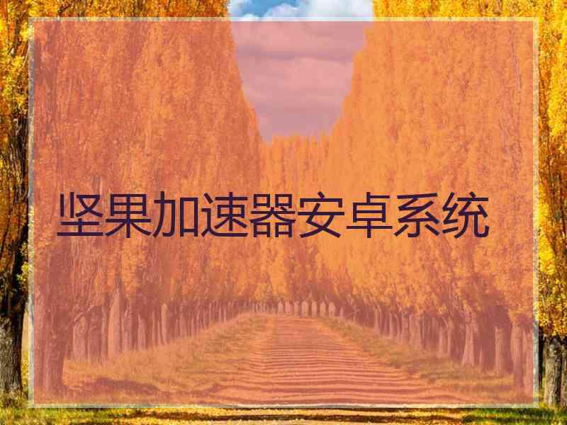 坚果加速器安卓系统