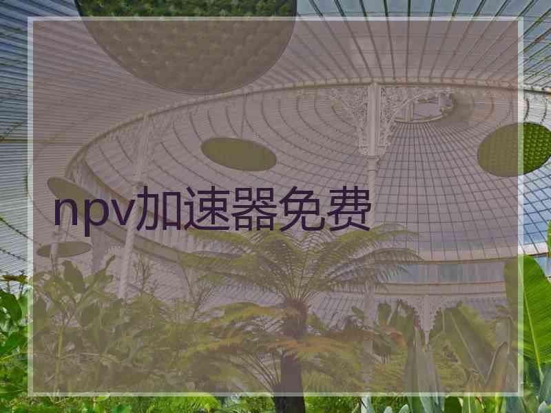 npv加速器免费