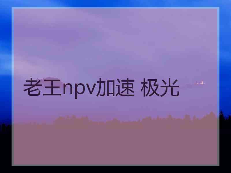 老王npv加速 极光