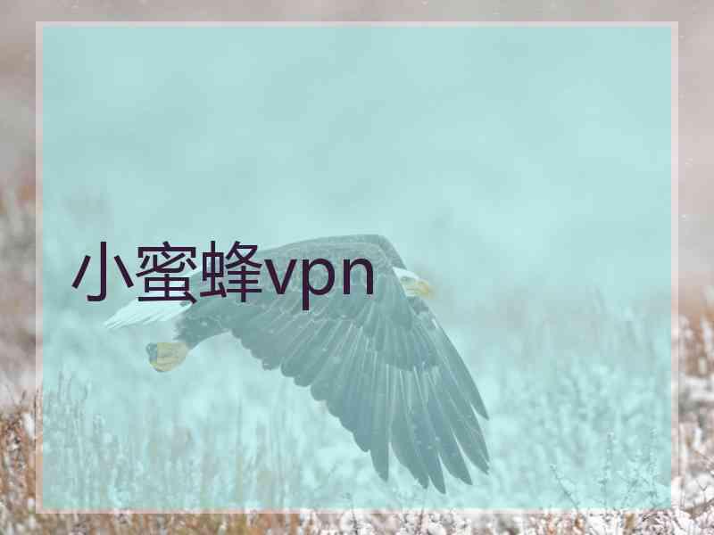 小蜜蜂vpn