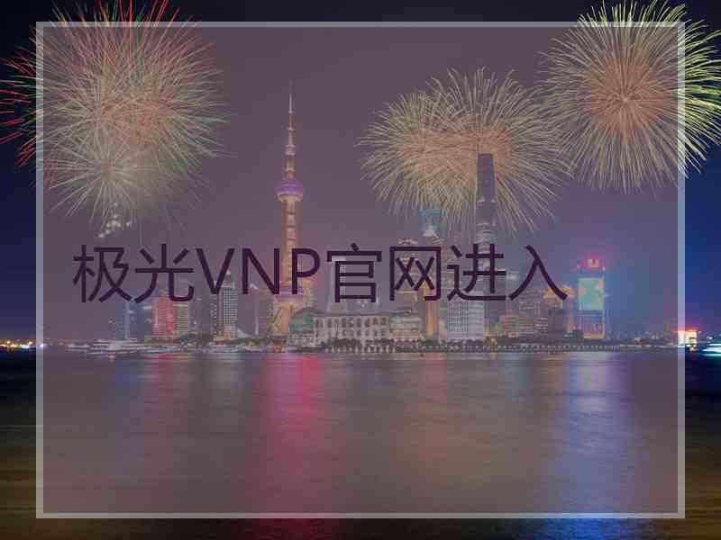 极光VNP官网进入