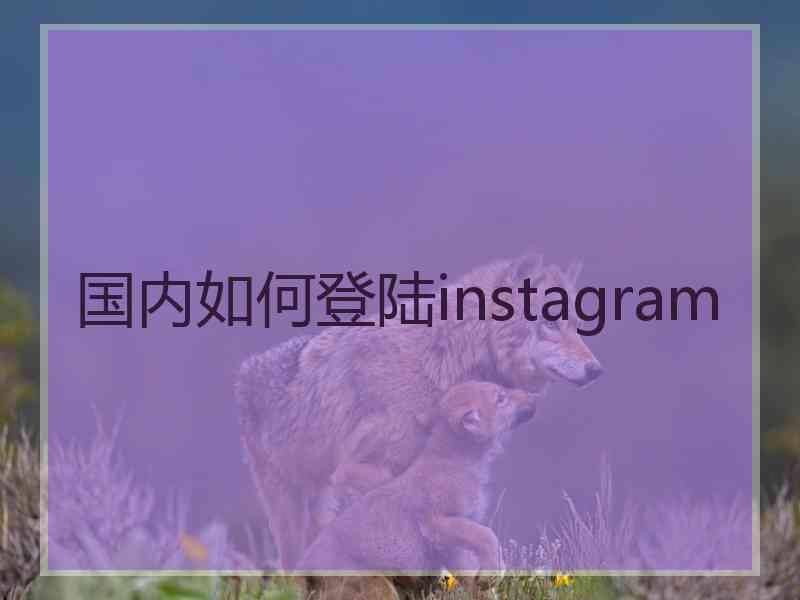 国内如何登陆instagram