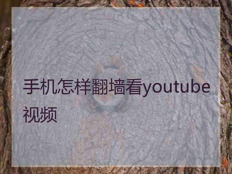 手机怎样翻墙看youtube视频