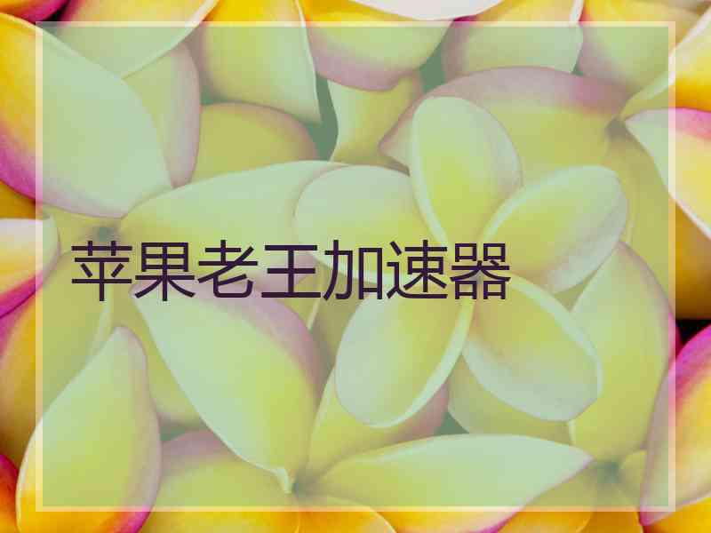 苹果老王加速器