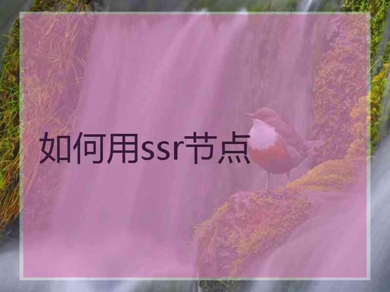 如何用ssr节点