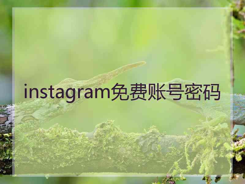 instagram免费账号密码