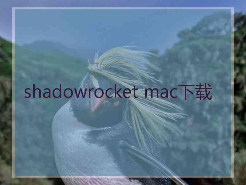 shadowrocket mac下载