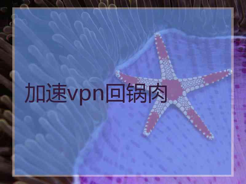 加速vpn回锅肉