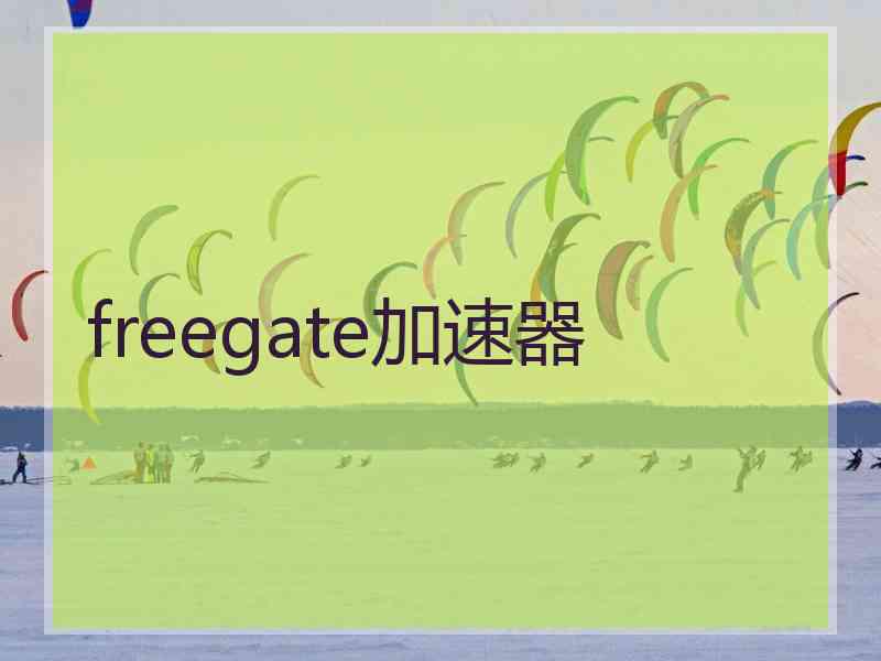 freegate加速器