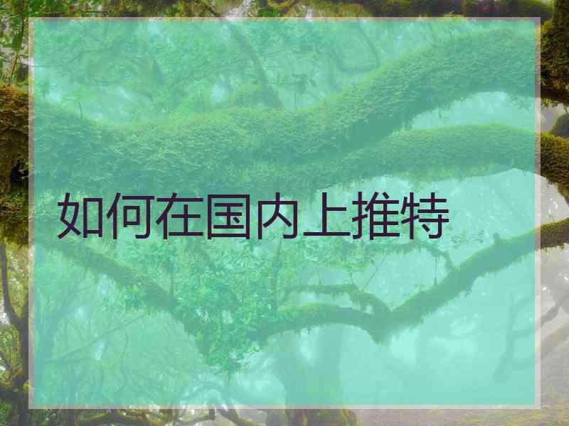 如何在国内上推特