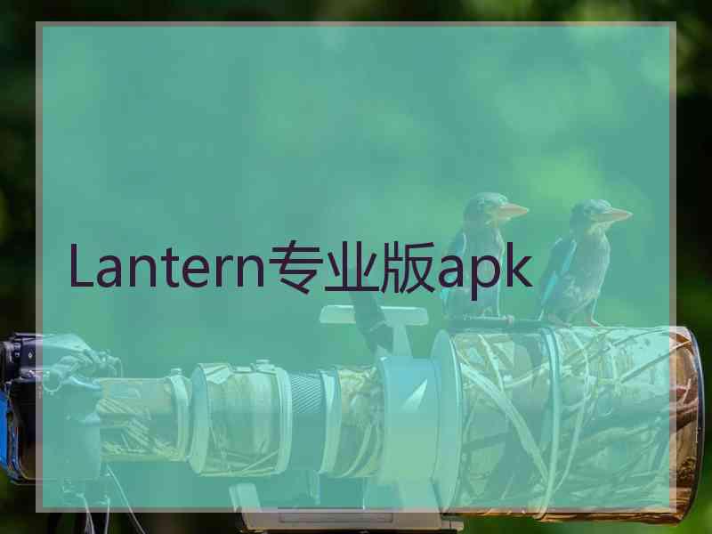 Lantern专业版apk