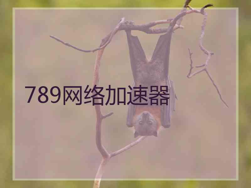 789网络加速器