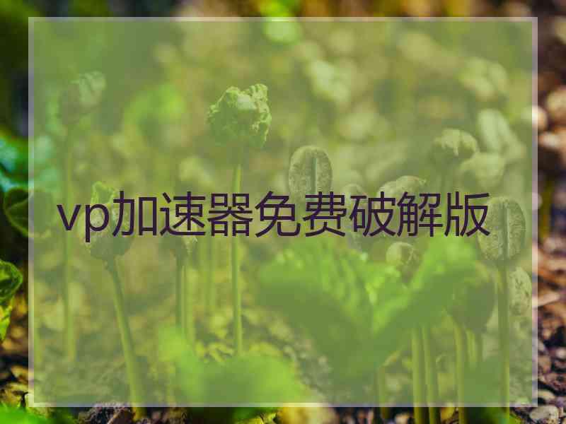 vp加速器免费破解版