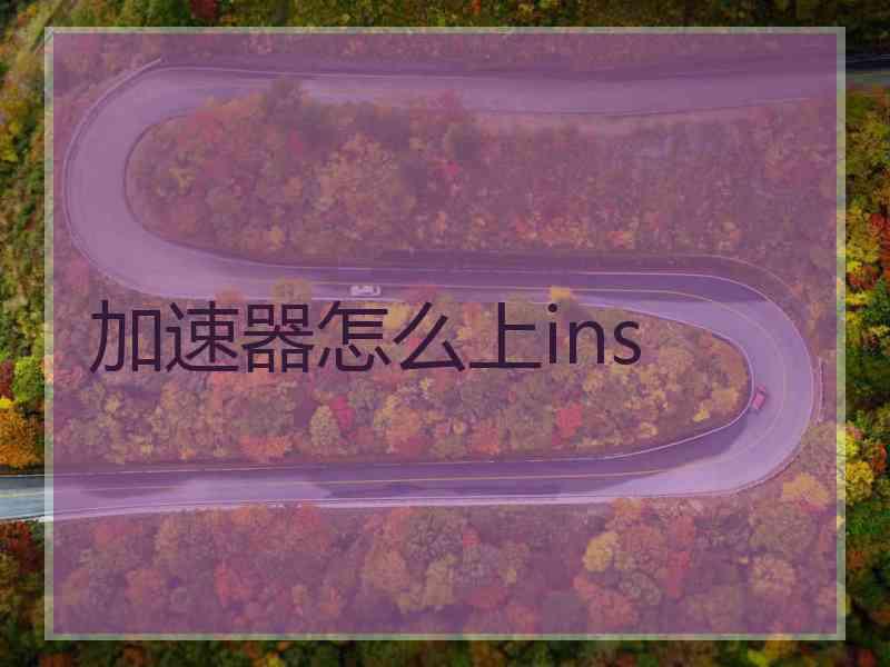 加速器怎么上ins