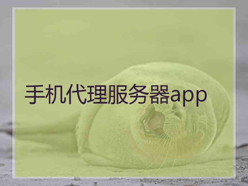 手机代理服务器app