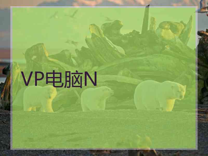 VP电脑N