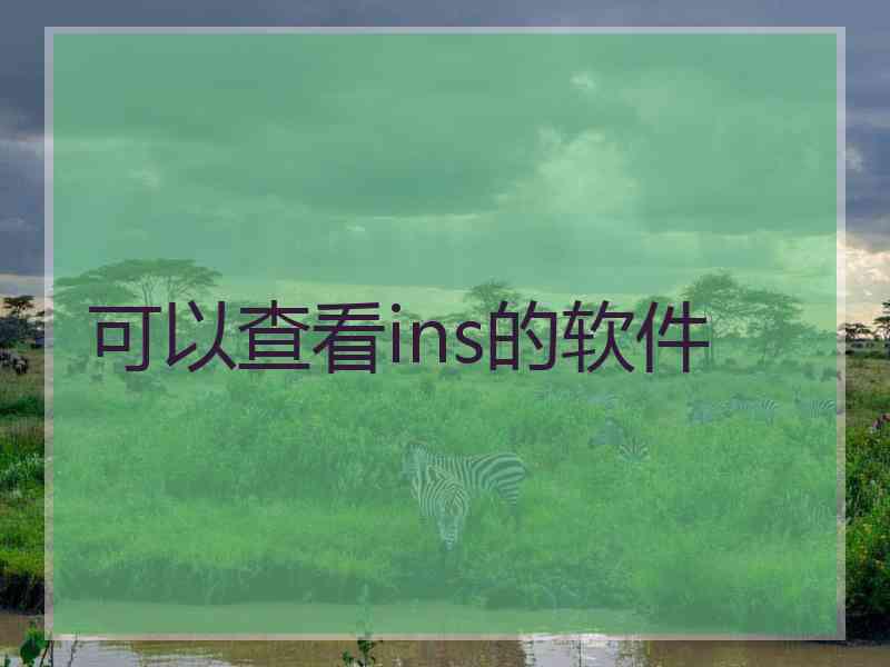 可以查看ins的软件