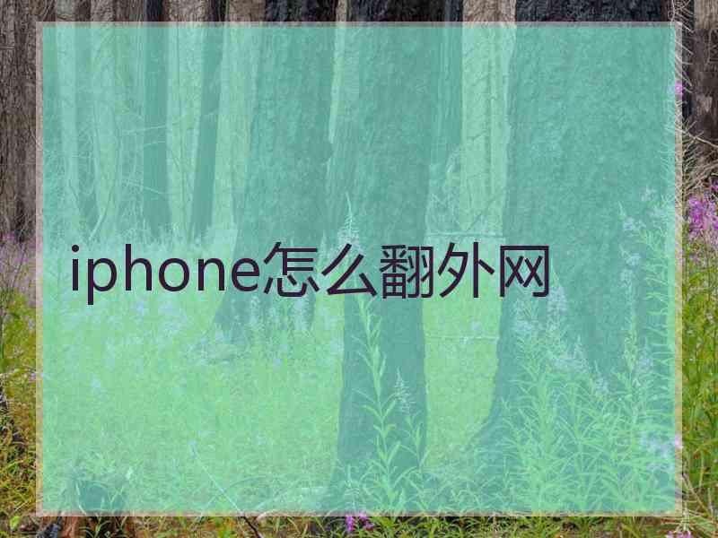 iphone怎么翻外网