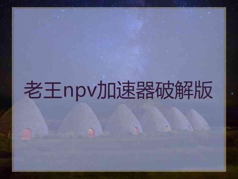 老王npv加速器破解版