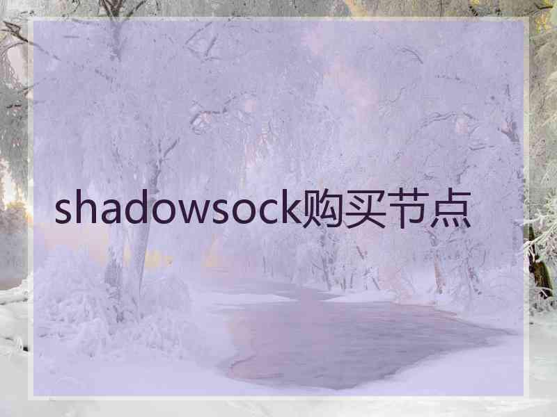 shadowsock购买节点