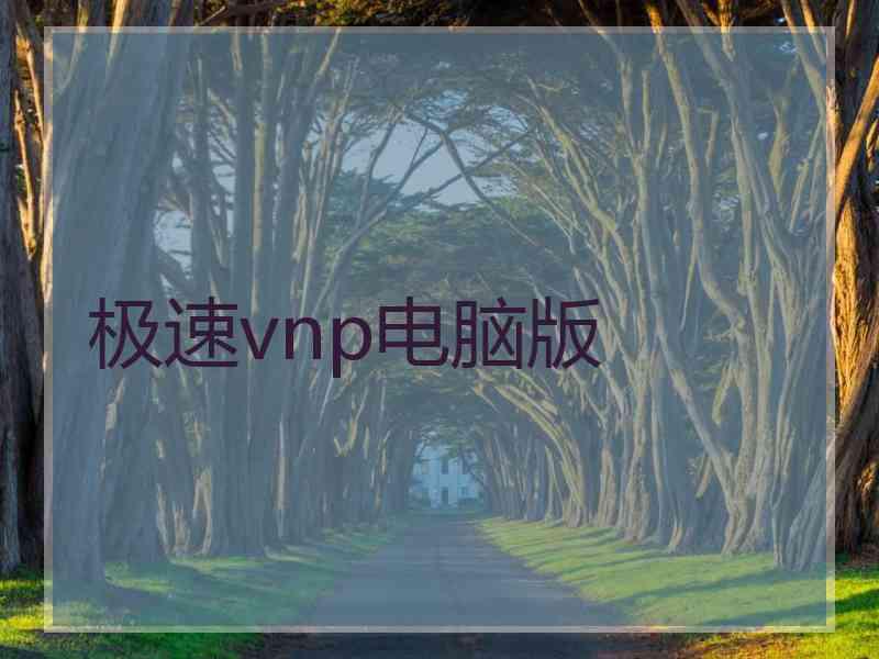 极速vnp电脑版