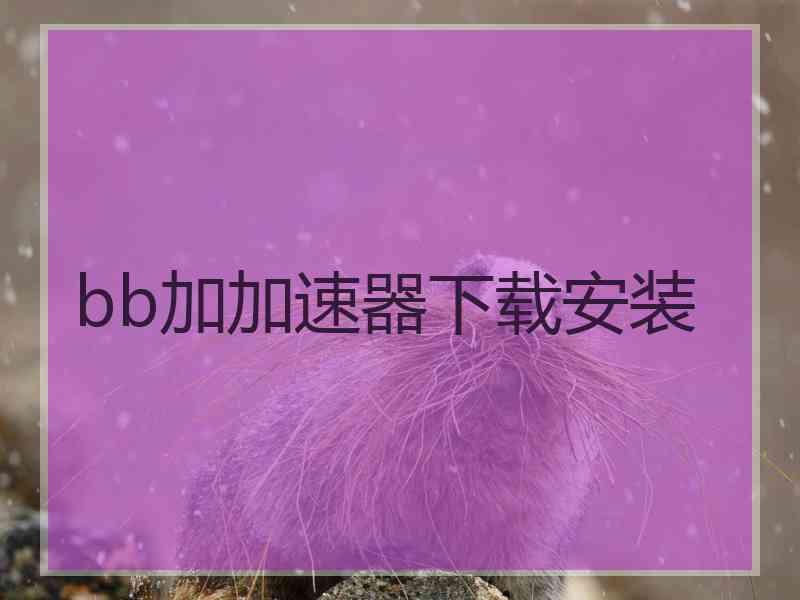 bb加加速器下载安装