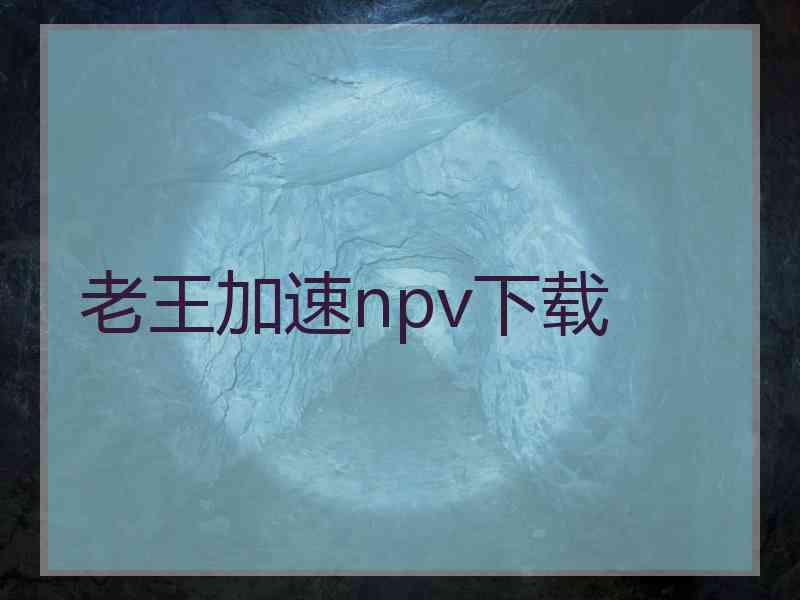 老王加速npv下载