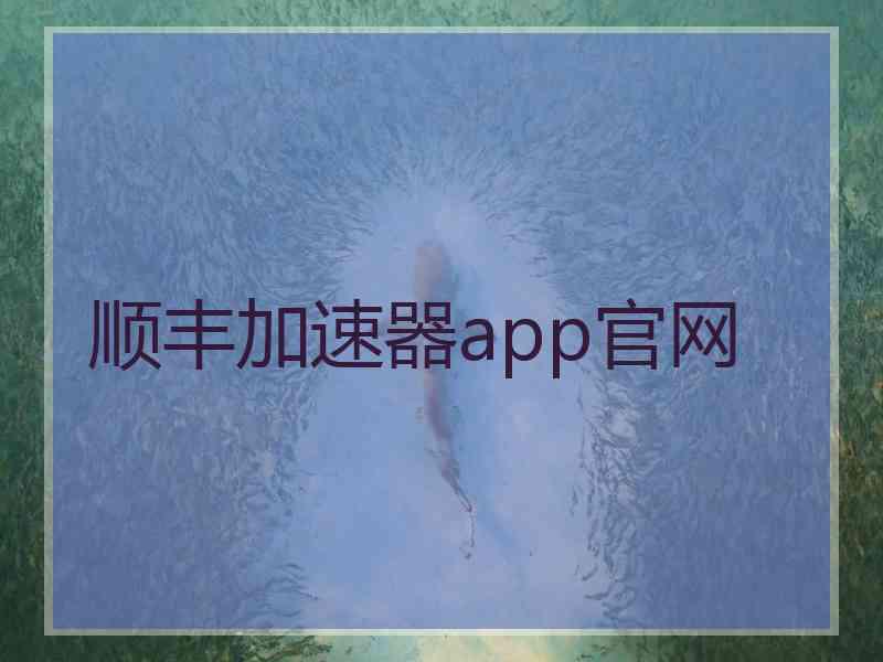 顺丰加速器app官网