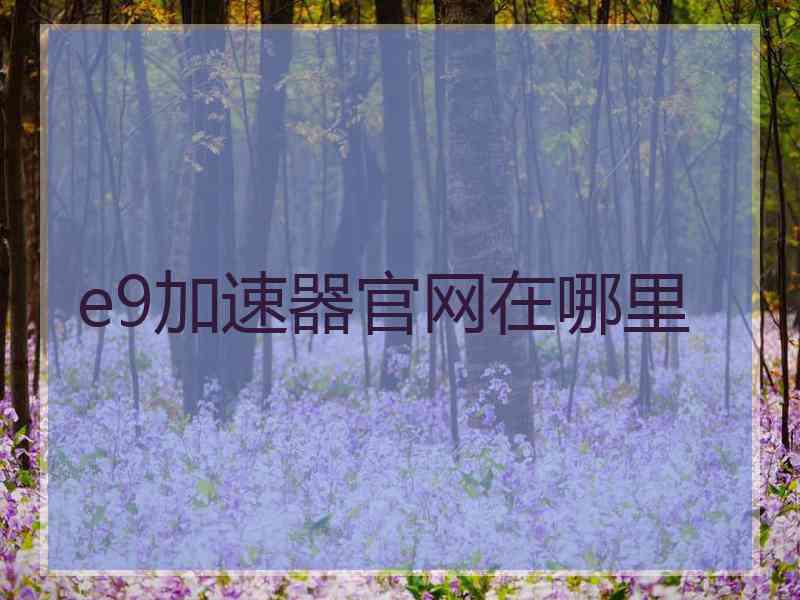 e9加速器官网在哪里