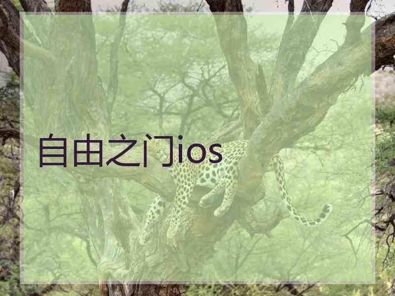 自由之门ios