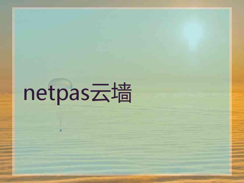 netpas云墙