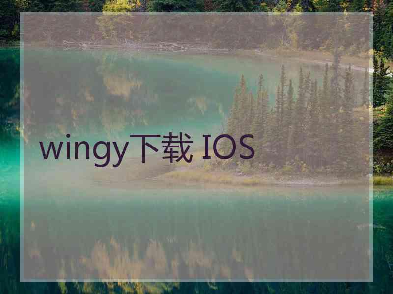 wingy下载 IOS