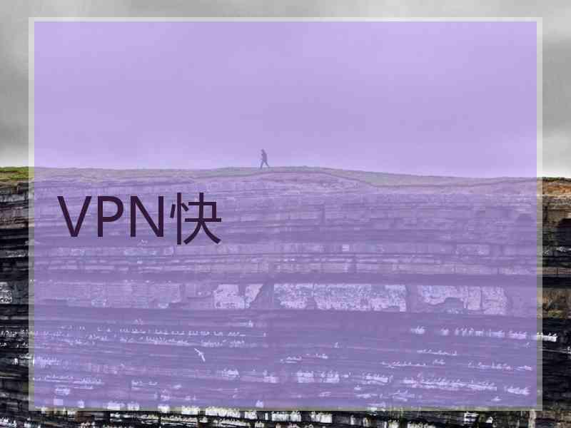 VPN快