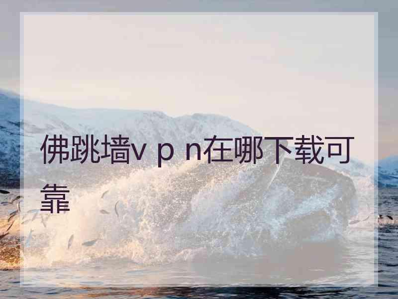 佛跳墙v p n在哪下载可靠