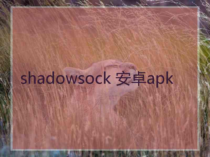 shadowsock 安卓apk