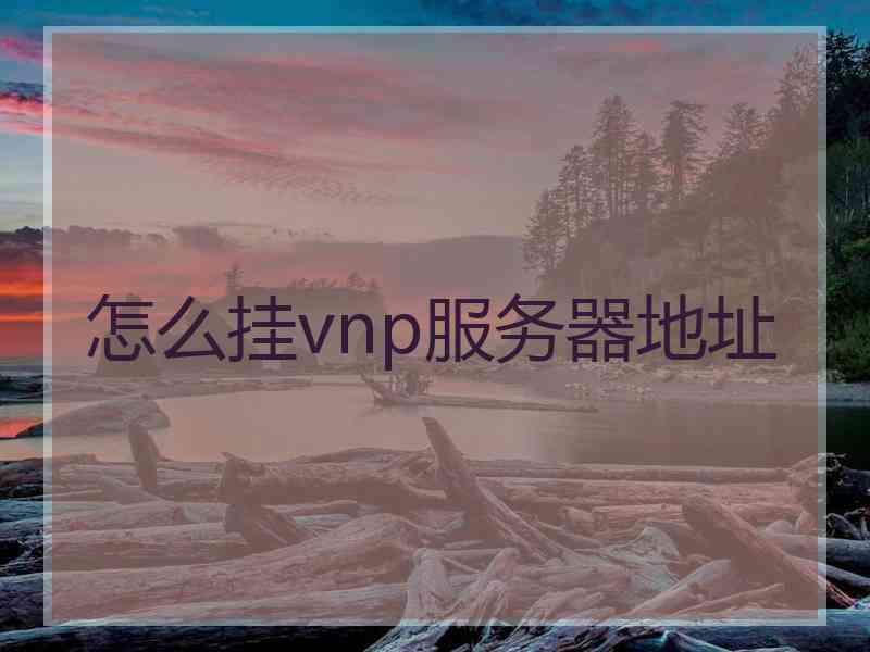 怎么挂vnp服务器地址