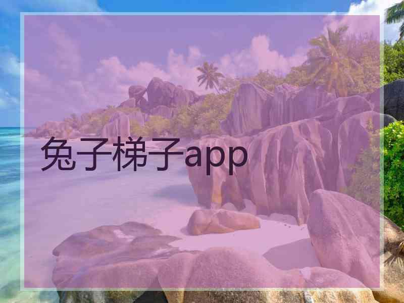 兔子梯子app